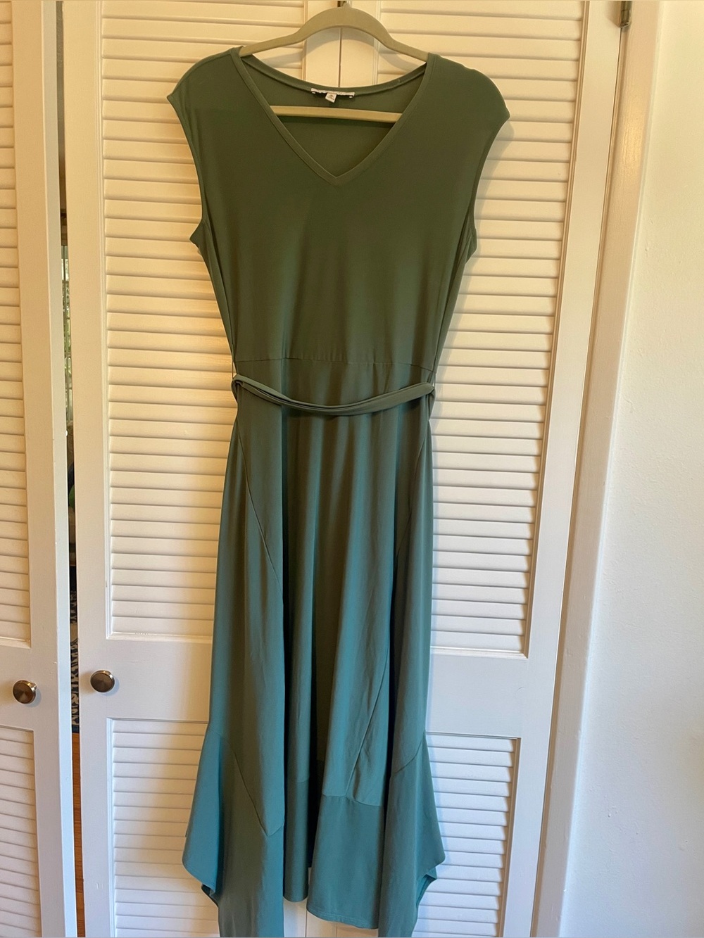 Sage Green Long Chaus Dress